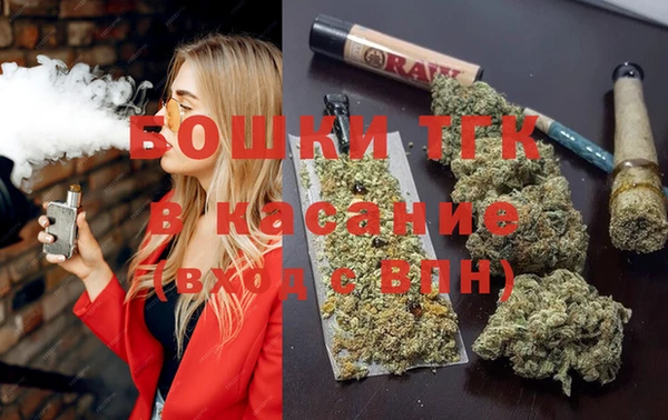 сатива Зеленокумск