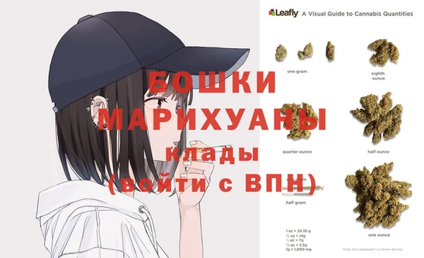 сатива Зеленокумск