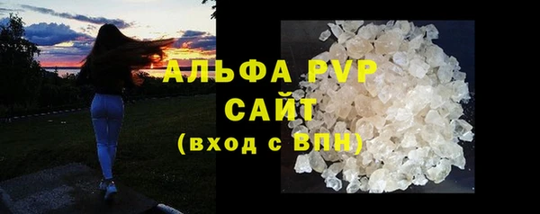 сатива Зеленокумск