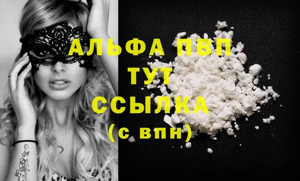 сатива Зеленокумск