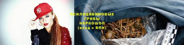 сатива Зеленокумск