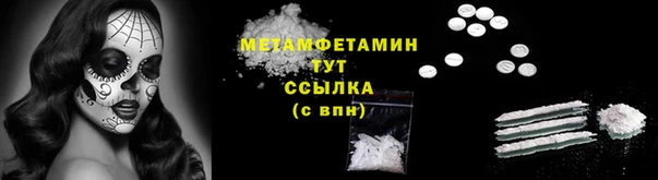 сатива Зеленокумск