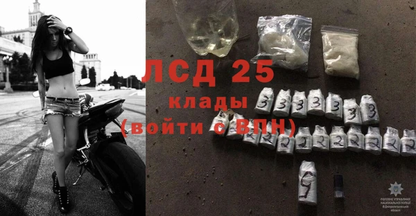 сатива Зеленокумск